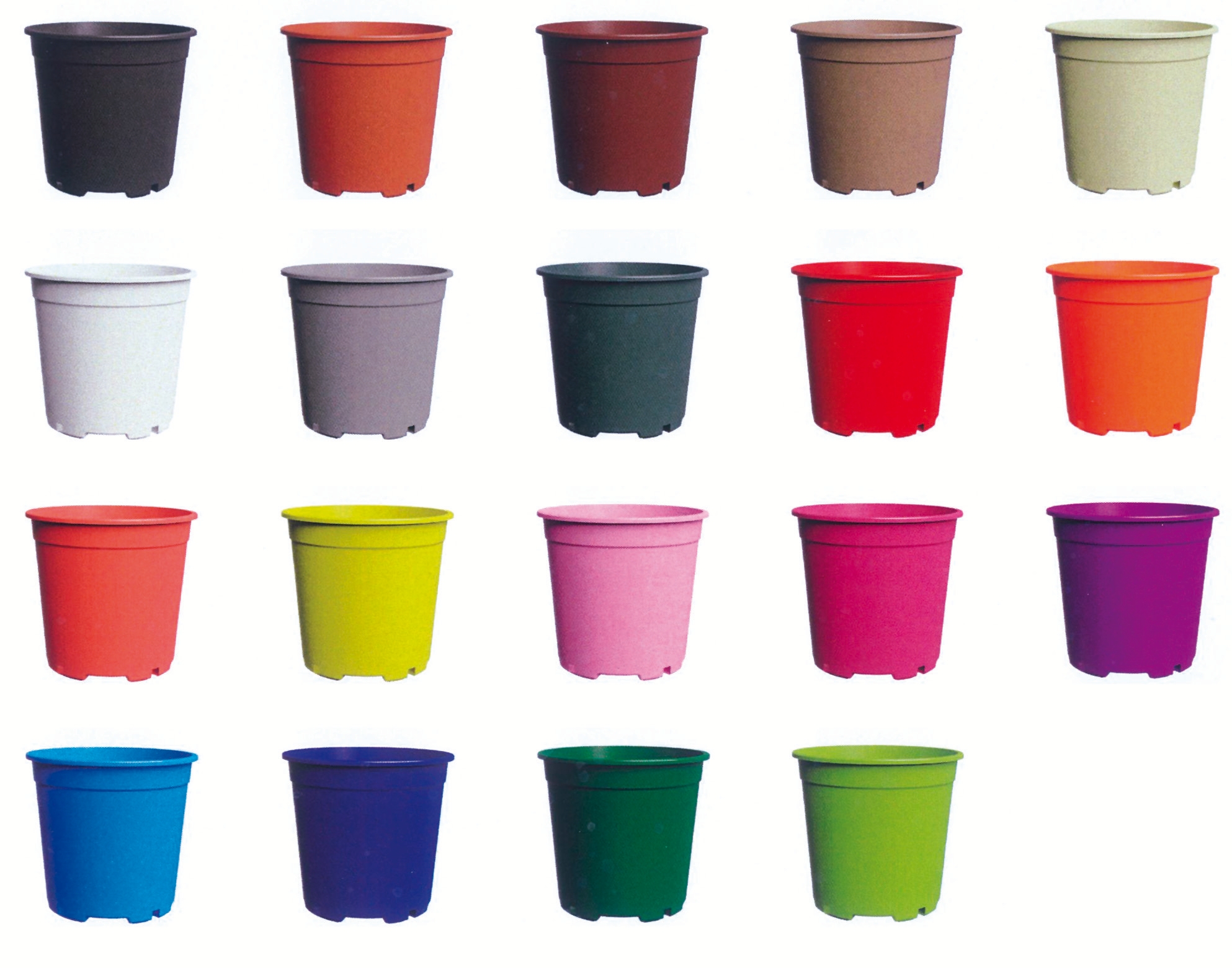 Colores